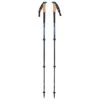 Black Diamond Alpine C Cork WR Trek Poles - Bâtons De Randonnée -Équip’Camp Magasin black diamond alpine c cork wr trek poles batons de randonnee